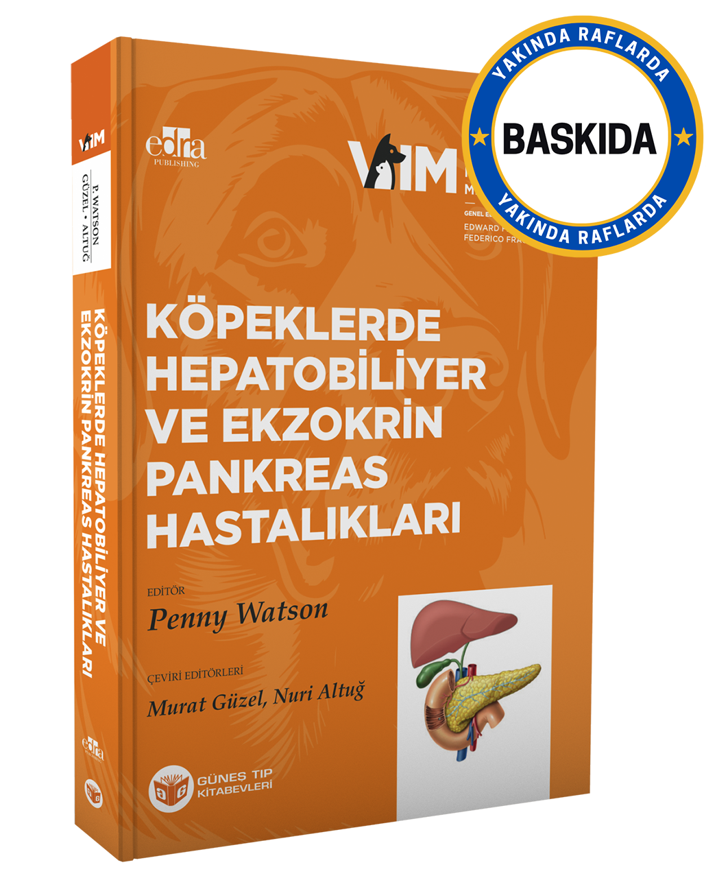 Köpeklerde Hepatobiliyer ve Ekzokrin Pankreas Hastalıkları (Videolu)