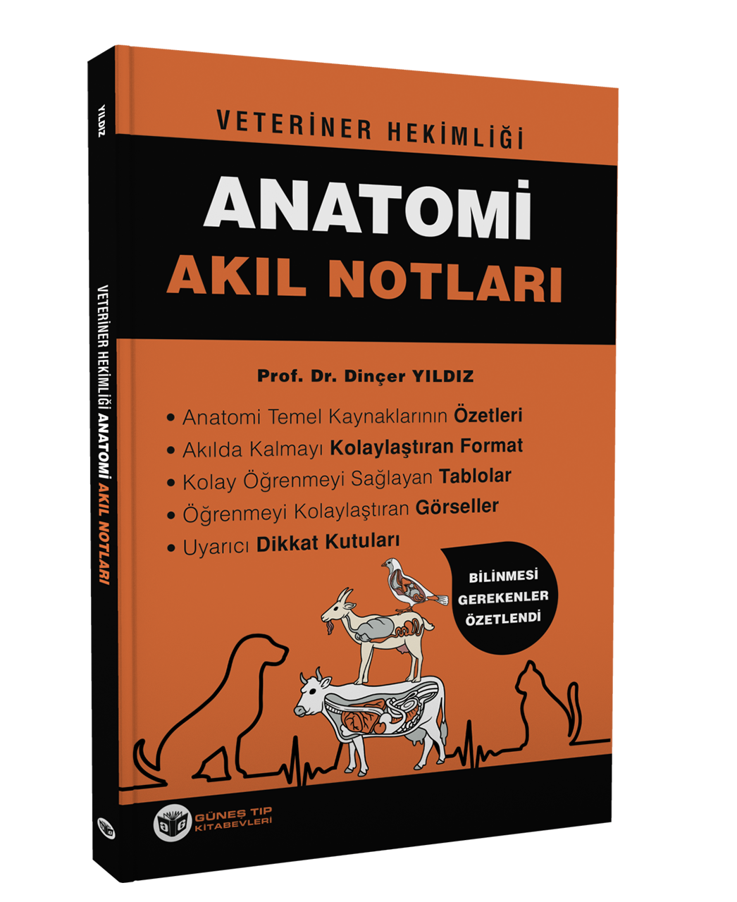 Veteriner Hekimliği Anatomi Akıl Notları