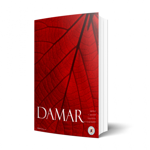 DAMAR