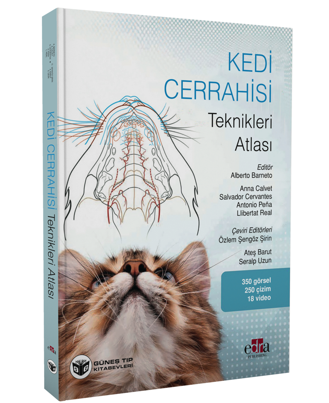 Kedi Cerrahisi Teknikleri Atlası ve QR Videolar