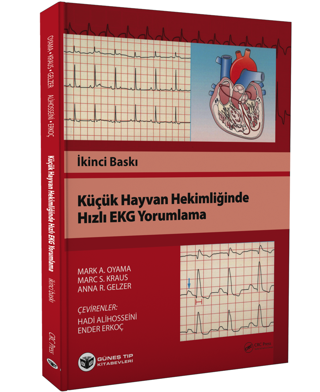 Küçük Hayvan Hekimliğinde Hızlı EKG Yorumlama