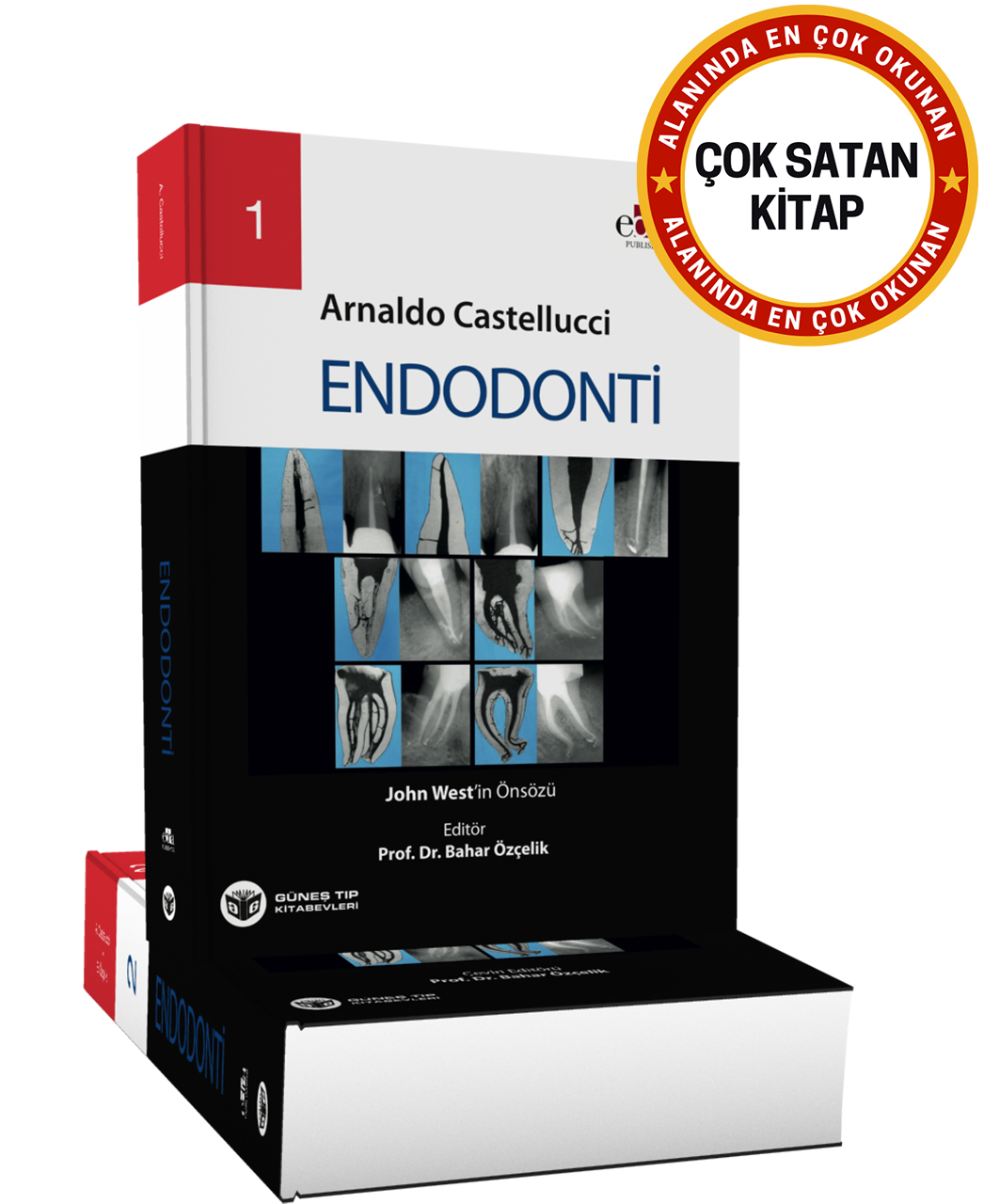 Endodonti 2 Cilt