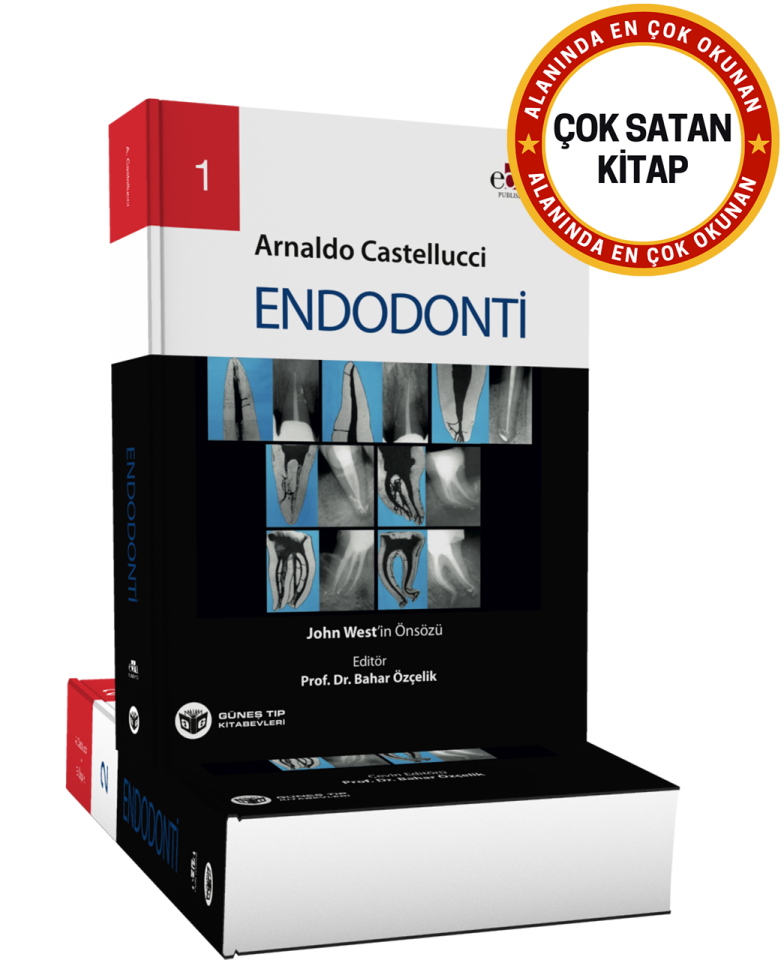 Endodonti 2 Cilt