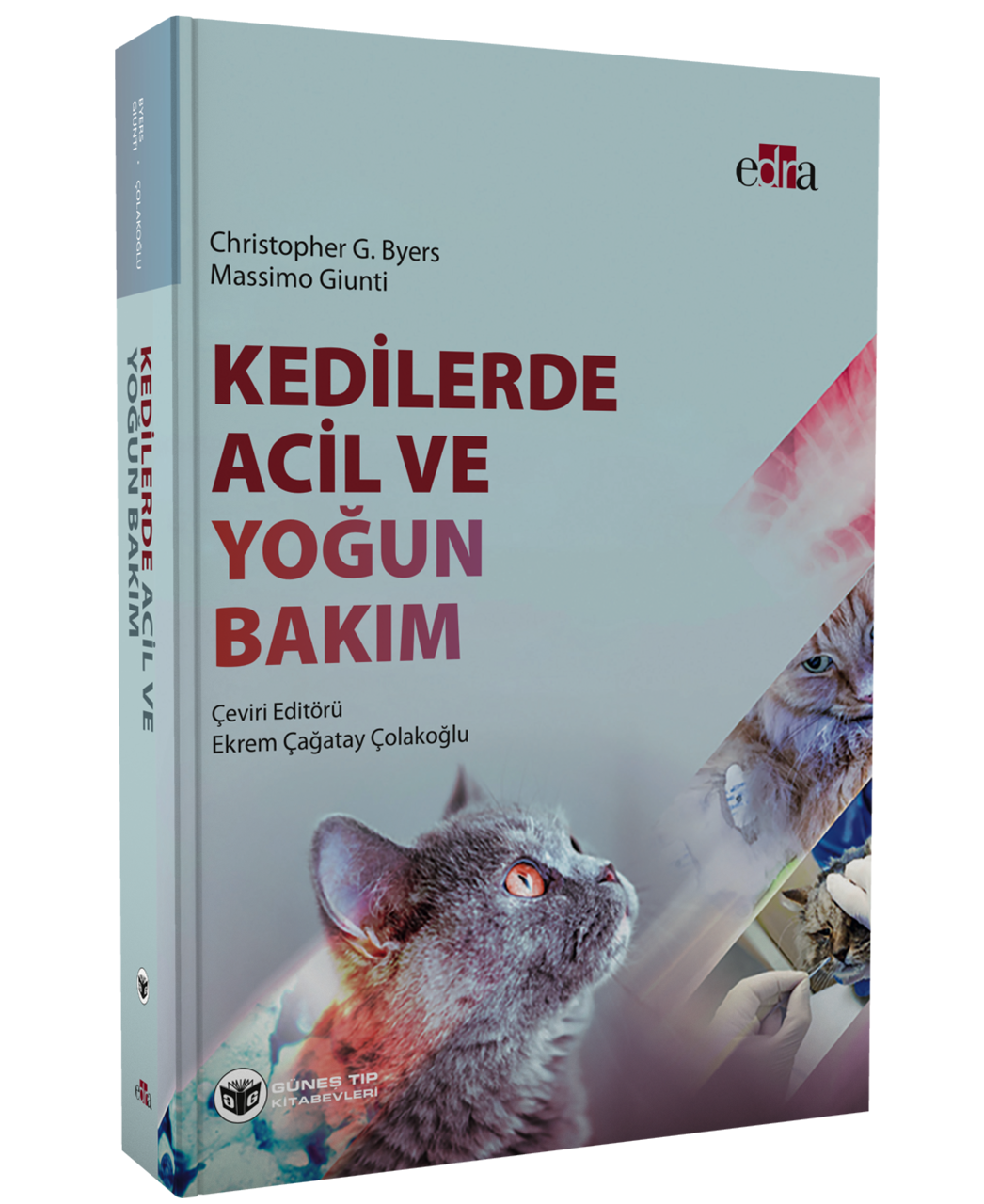 Kedilerde Acil ve Yoğun Bakım