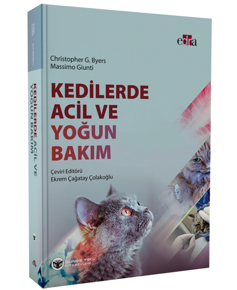 Kedilerde Acil ve Yoğun Bakım