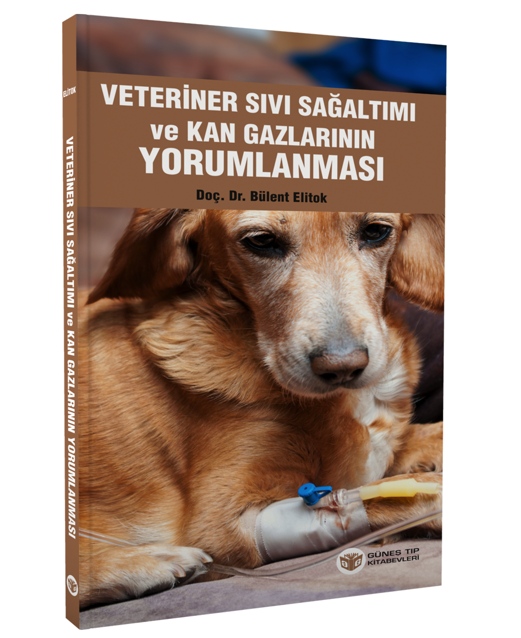 Veteriner Sıvı Sağaltımı ve Kan Gazlarının Yorumlanması