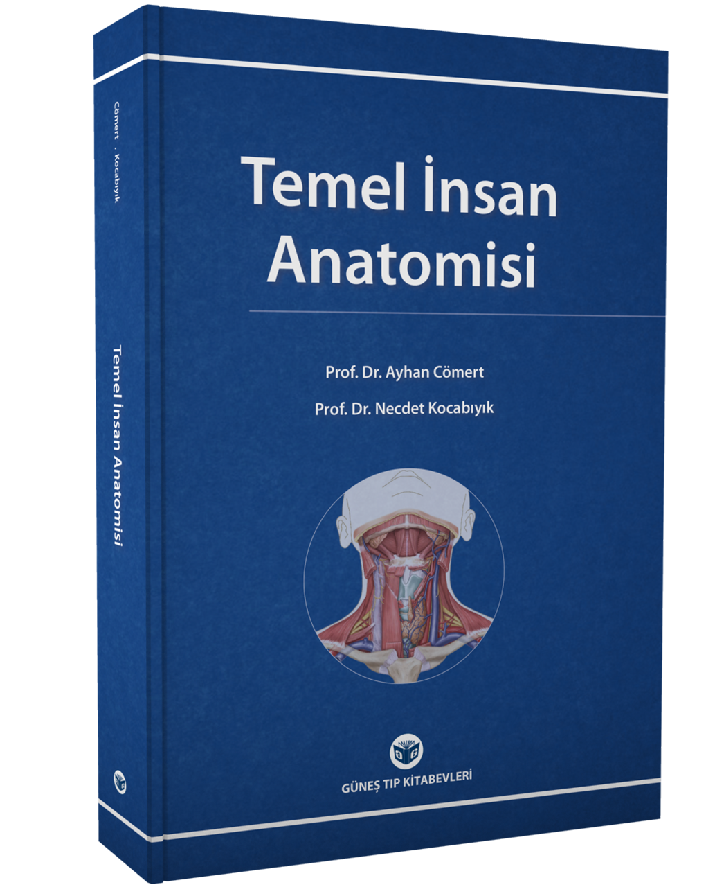 Temel İnsan Anatomisi