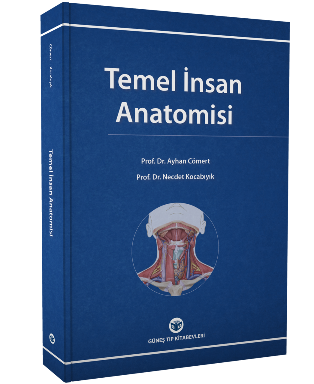 Temel İnsan Anatomisi