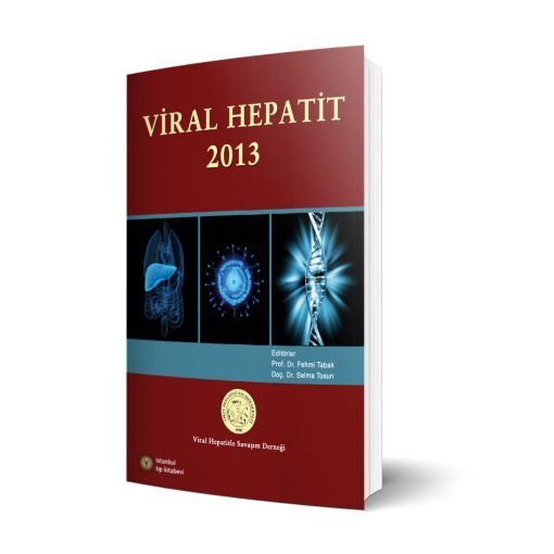 Viral Hepatit 2013