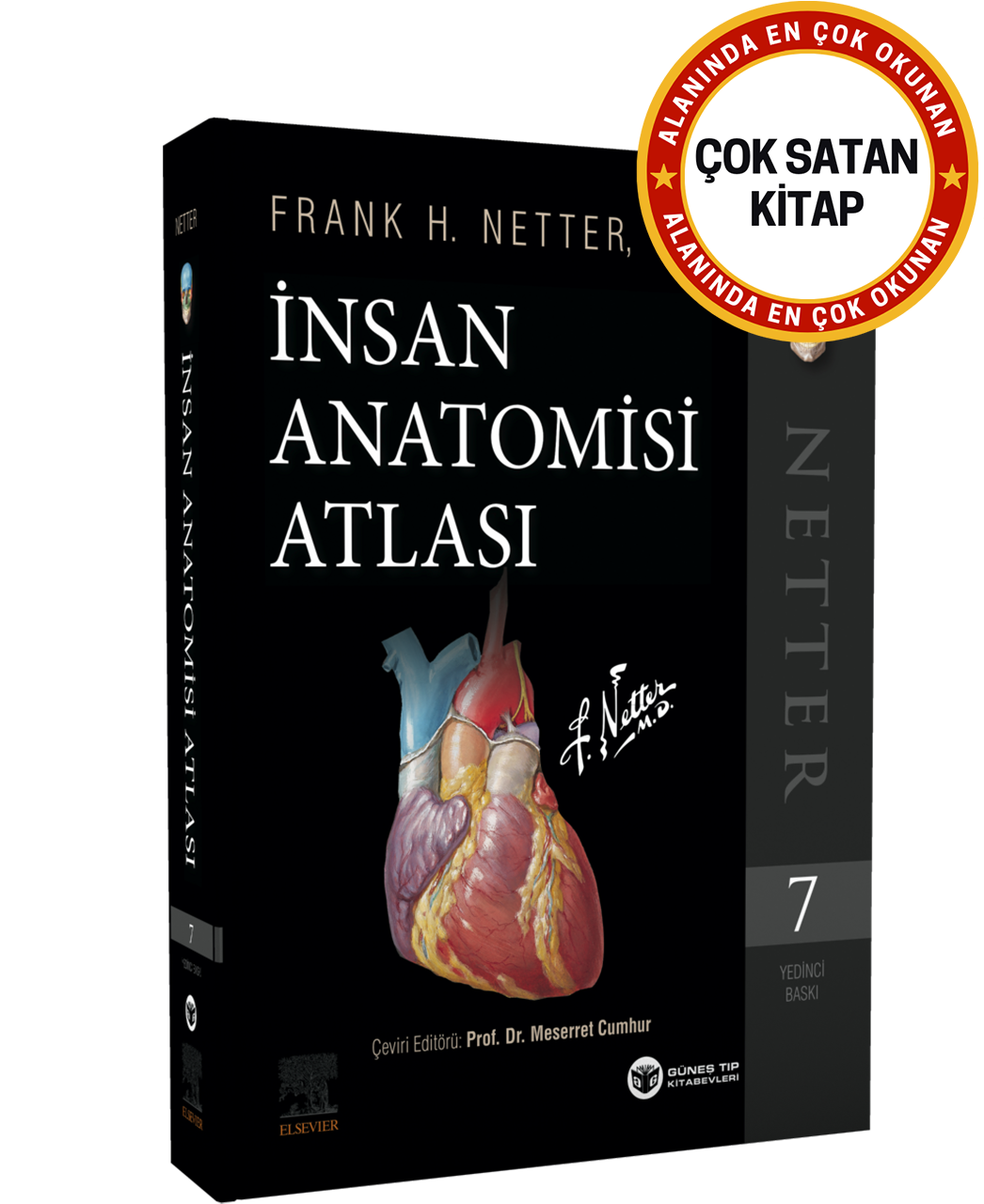 Netter İnsan Anatomisi Atlası