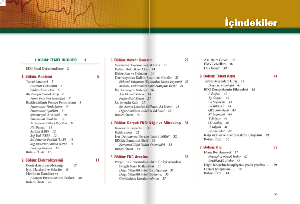 12 Derivasyonlu EKG Yorum Sanatı