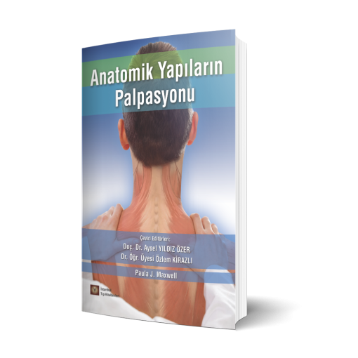 Anatomik Yapıların Palpasyonu