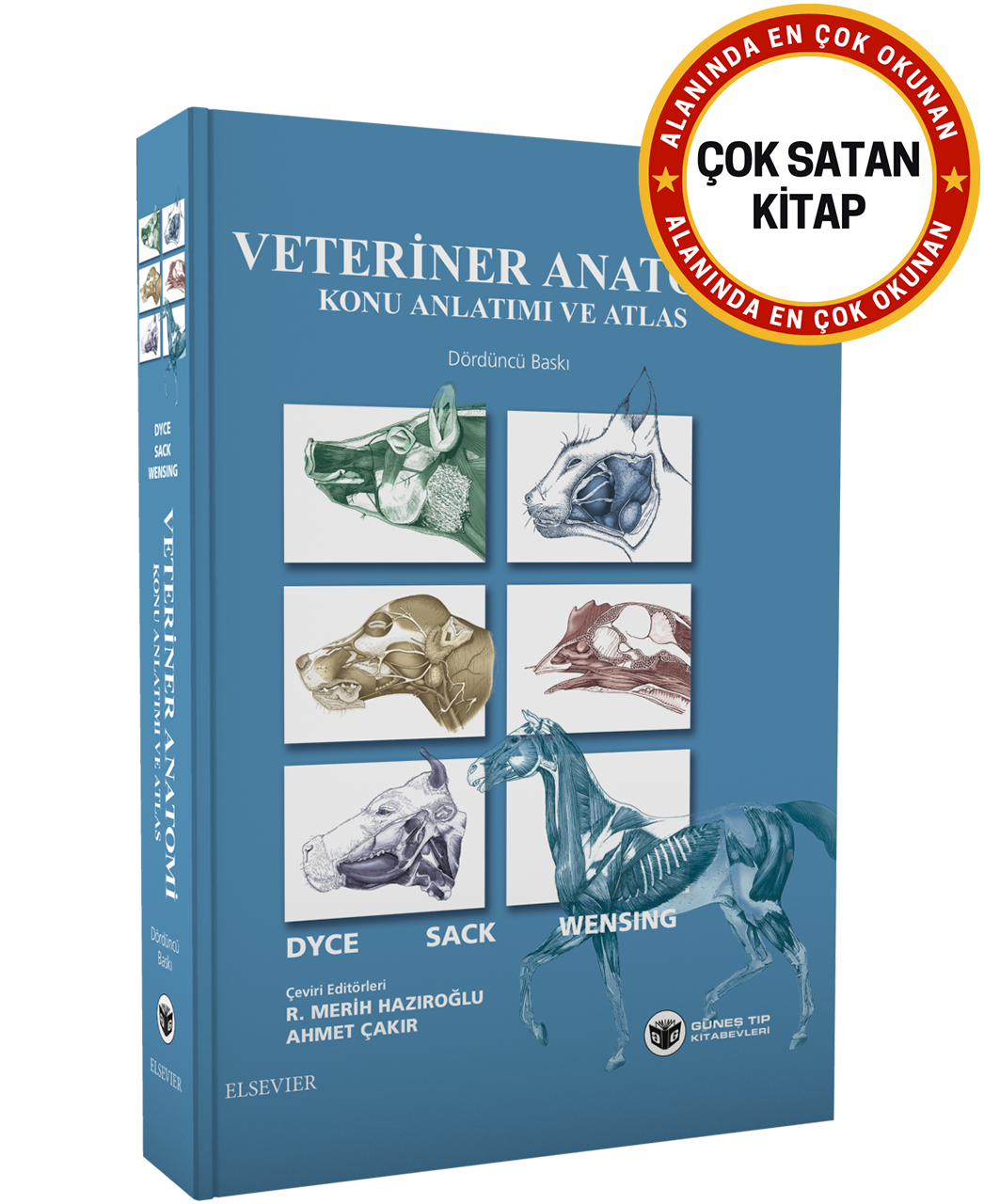 Veteriner Anatomi Konu Anlatımı ve Atlas