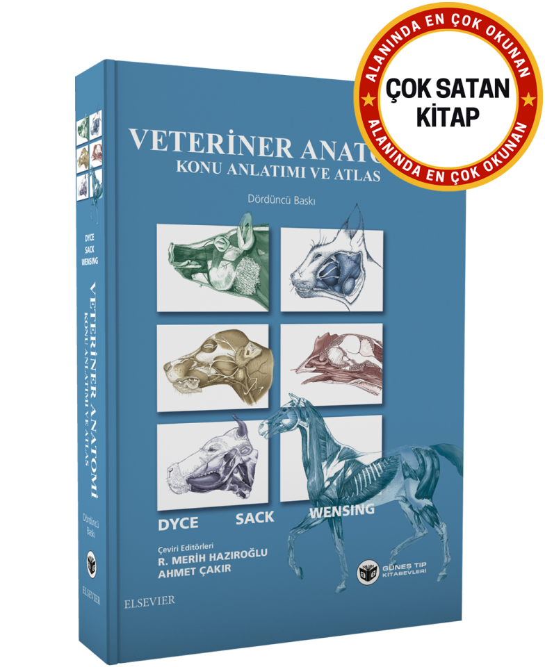 Veteriner Anatomi Konu Anlatımı ve Atlas