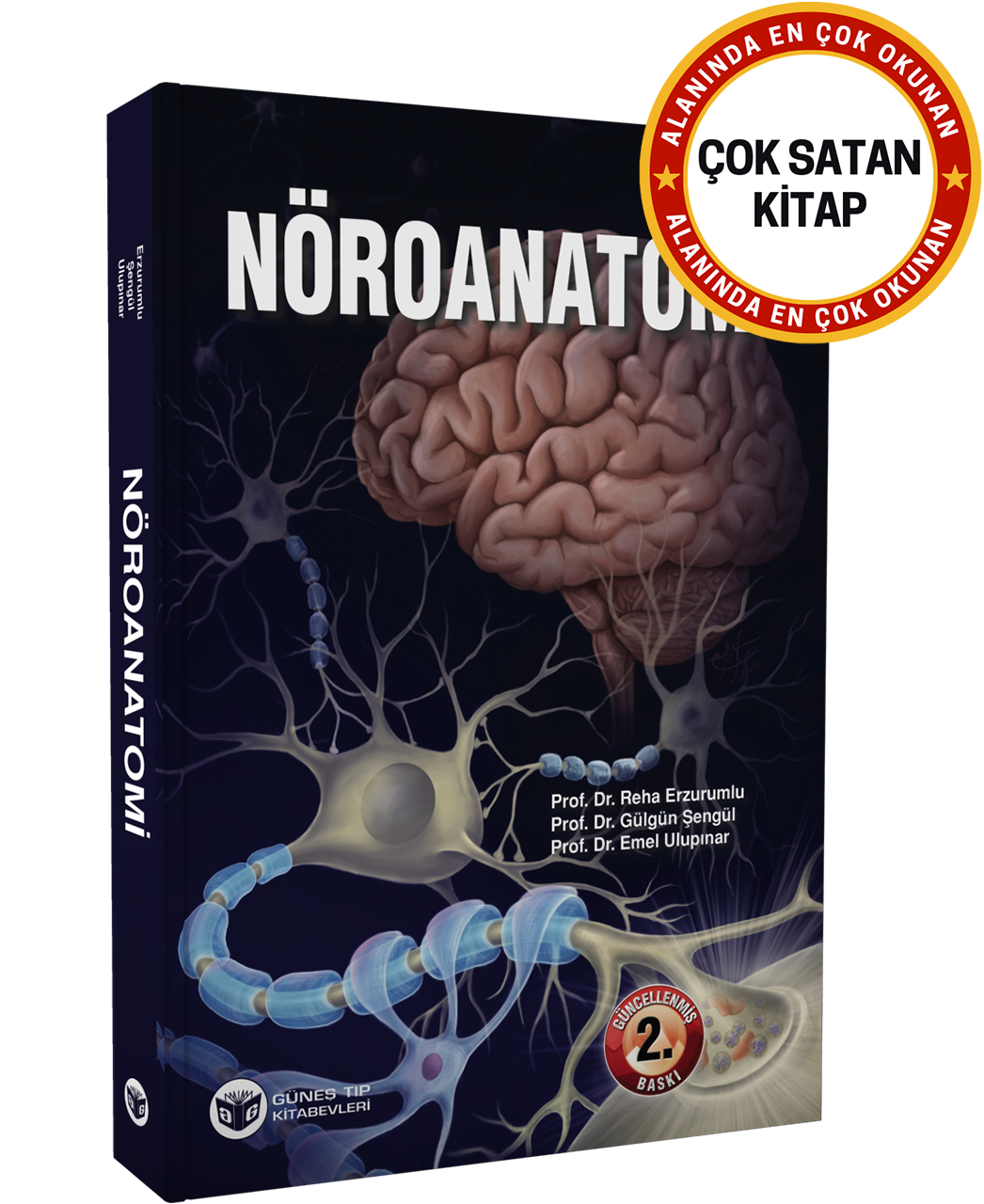 Nöroanatomi (Güncellenmiş 2. Baskı)