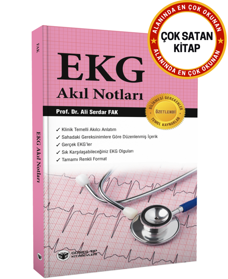 EKG Akıl Notları