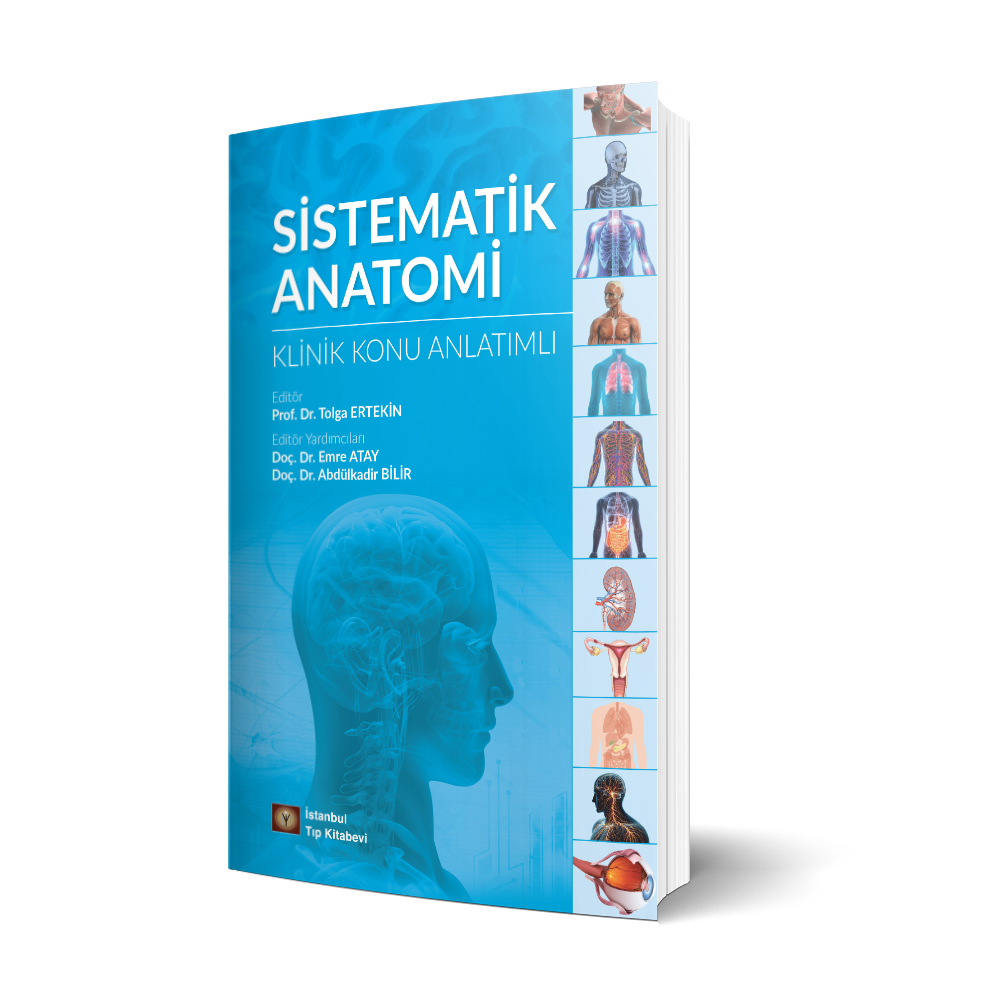 Sistematik  Anatomi Klinik Konu  Anlatımlı