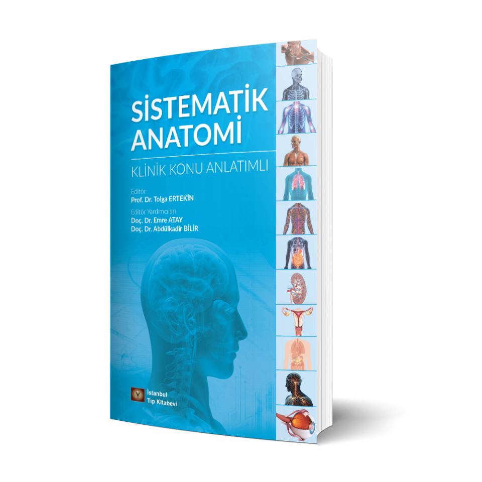 Sistematik  Anatomi Klinik Konu  Anlatımlı