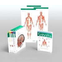 Sobotta Atlas Of Anatomy, 4 Volume Set 17th Ed.