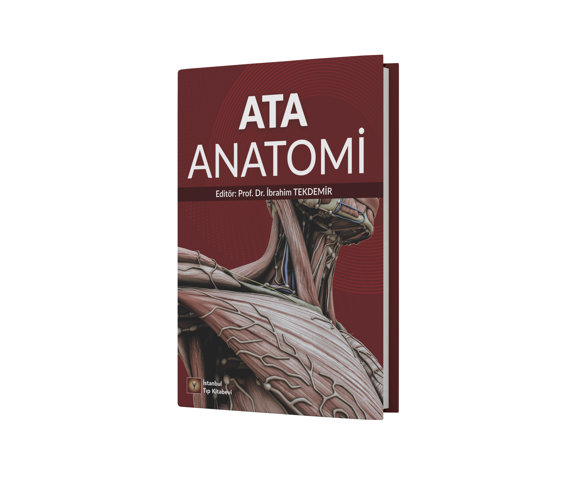 Ata Anatomi