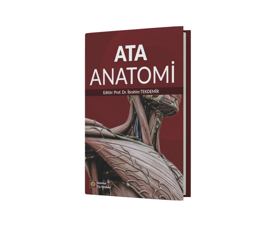 Ata Anatomi