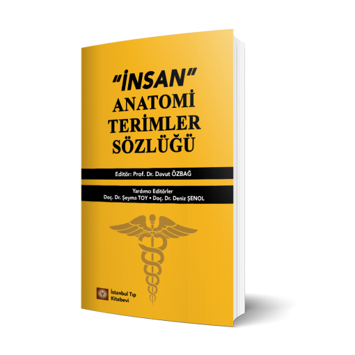 İnsan Anatomi Terimler Sözlüğü